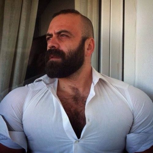 hairy nice men