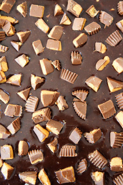 nom-food:  Chocolate peanut butter brownies