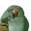 birbinator
