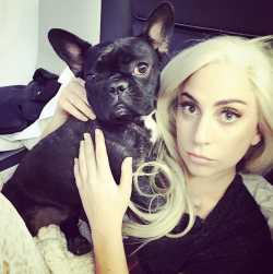 ladyxgaga: @ladygaga: YOU CANT SIT WITH