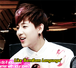 :  &ldquo;BamBam Language&quot;  