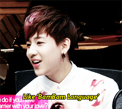 :  “BamBam Language"  
