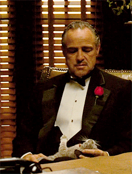 babeimgonnaleaveu:    “As Don Corleone calmly explains his idea of “friendship” to the undertaker Bonasera, the first nearly full-body shot of the don reveals an unexpected guest: a gray and white cat sitting in Marlon Brando’s lap. “The cat