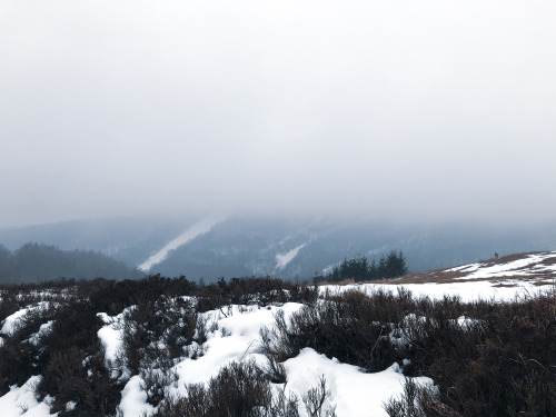 Late winter days, camping in my beloved Ore mountains…