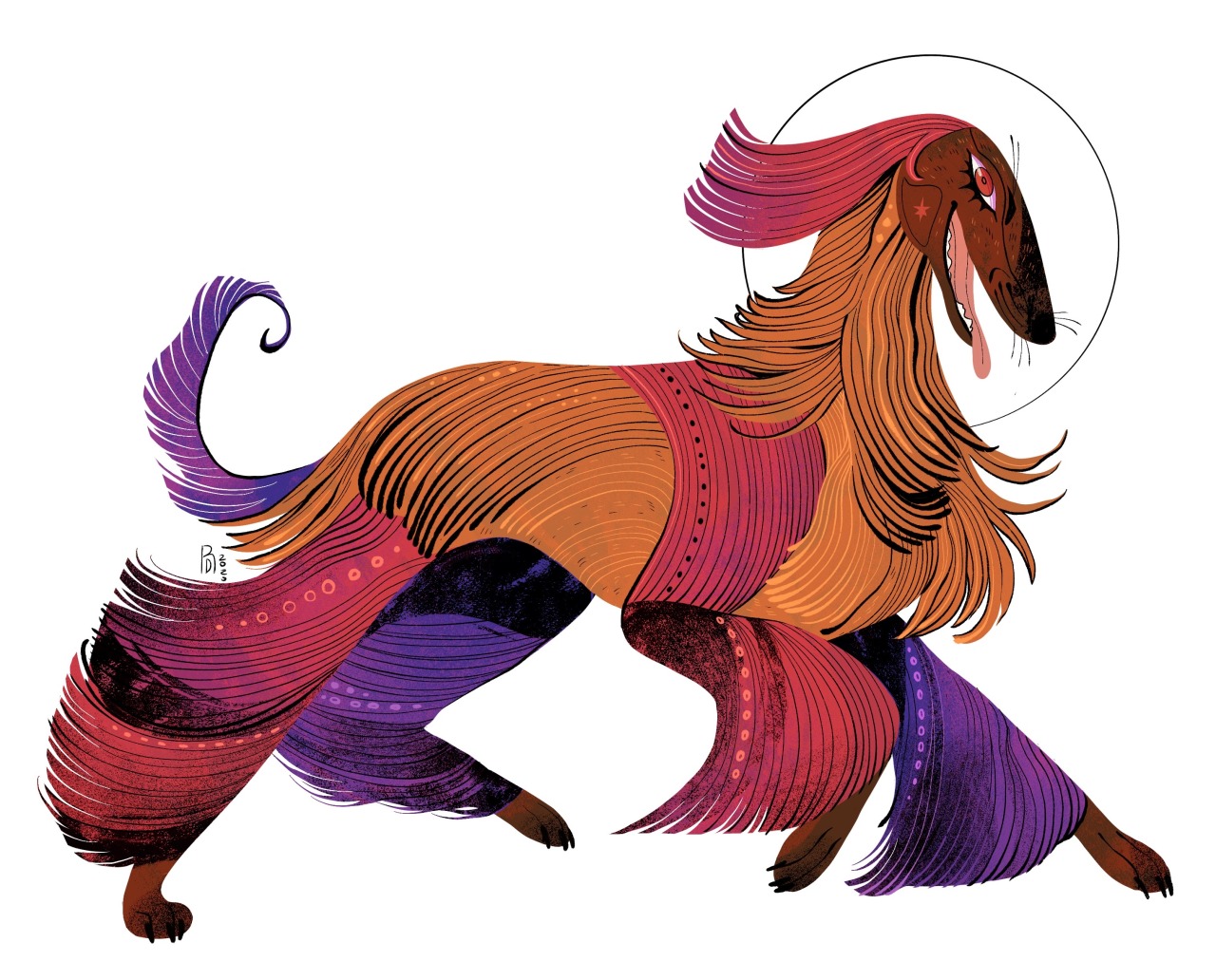 That 70′s Afghan Hound