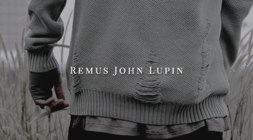 edwardtonks: characters who deserved better: remus lupin It is the quality of one’s conviction