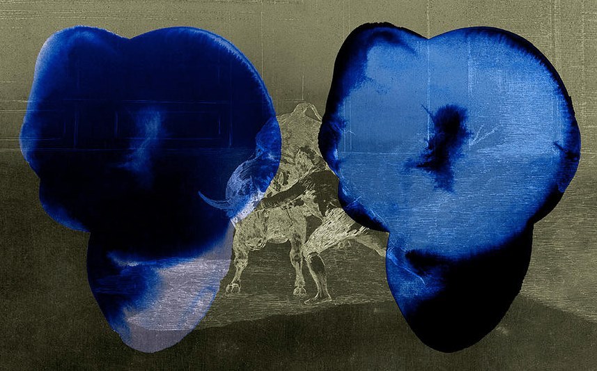 crystalline-aesthetics: Najia Mehadji    War Flower (suite Goyesque - Les désastres
