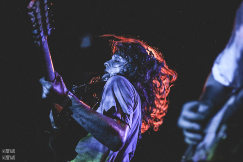 minivanphotography:KING GIZZARD &amp; THE LIZARD WIZARD