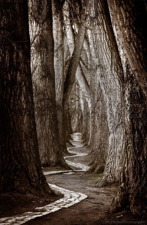 arrudaeguine:Fotografia Mystic Alley de Harald Spangler