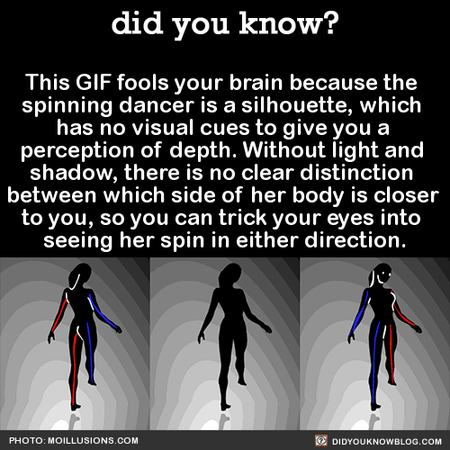 did-you-kno:  This GIF fools your brain because the  spinning dancer is a silhouette,