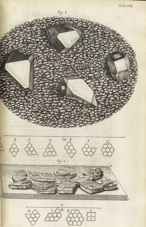 magictransistor:  Robert Hooke’s ‘Micrographia’ : or, ‘Some physiological descriptions of minute bodies made by magnifying glasses. With observations and inquiries thereupon.’ Printed by J. Martyn and J. Allestry, London, England (1665)