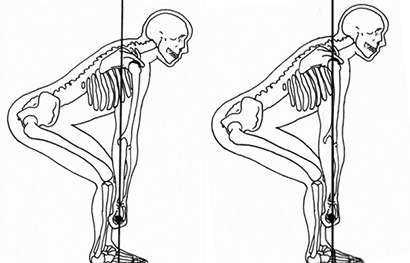 quads-for-the-gods:  surge-to-new-levels:  Shoulders Behind the Bar for a Stronger Deadlift In properly being able to keep the shoulders behind the bar you will allow yourself to be put in a position of optimal leverage for a strong pull. By doing so,