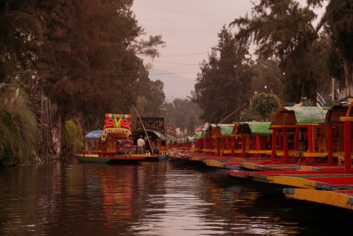 Xochimilco - México (Agosto, 2017) Xochimilco - Mexico (August, 2017) 