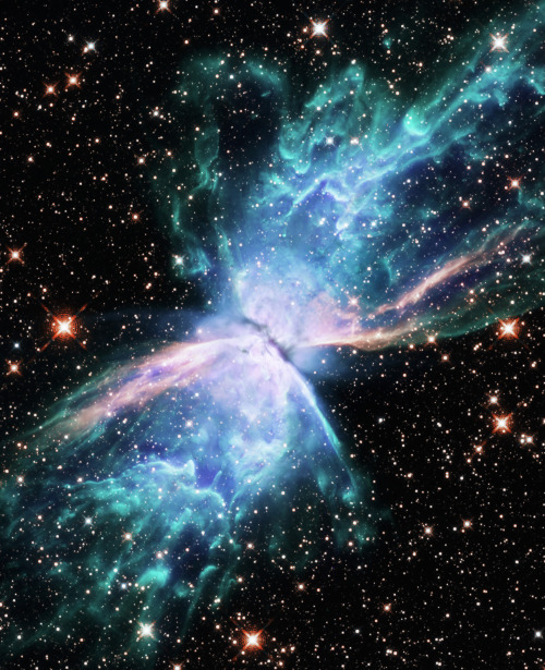 spacewonder19:Wings of Cosmic Butterfly  