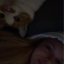 lucyqte