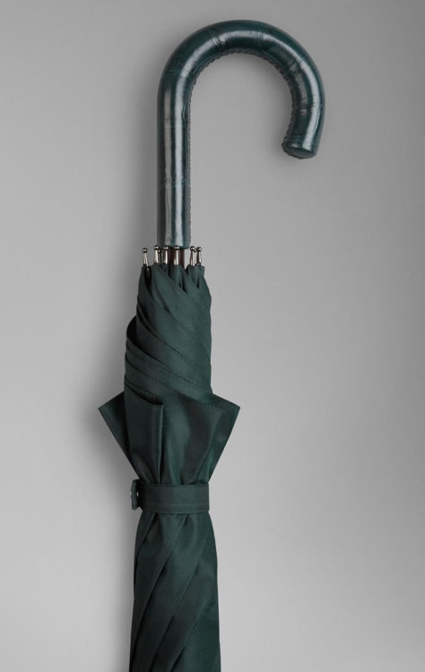 Burberry Walking Umbrella With Alligator Leather Handle… Price Tag: $1,495 -Everydayisfashion