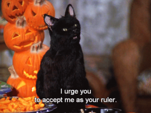 Introducing yourself to a new group of friends