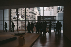  Museum of Modern Art New York, NY 