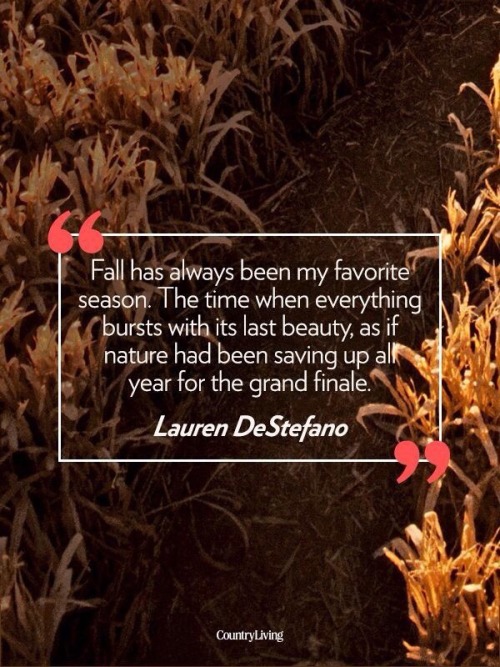 oldfarmhouse: What does Fall mean to you? instagram.com AutumnQuotes