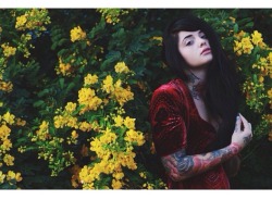 radeo-suicide:  Taken by Alissa Brunelli