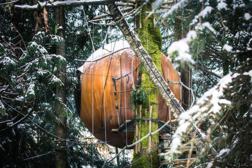 thedesigndome:Hotels Shaped as TreehouseWe have all wanted a treehouse in our childhood days, our ow