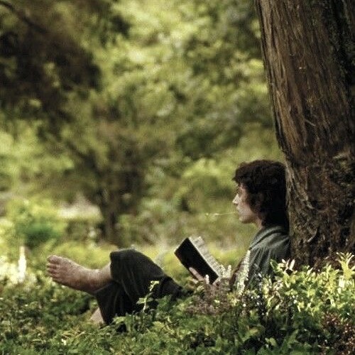 “there’s Some Good In This World, Mr Frodo, 