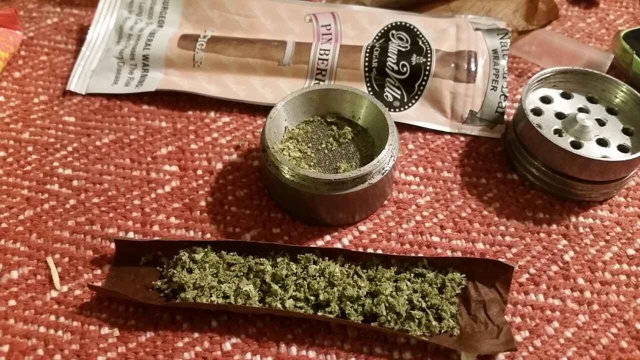 landsquidd:  come smoke 💚 