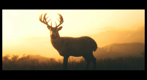 Walk Towards The Sun, Let It Warm Your Body One Last Time. This Time You Won. You Are A Good Man Arthur