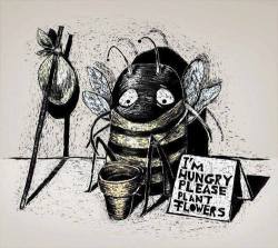 18sfgn:  sad bee :c | via Facebook en We Heart It - http://weheartit.com/entry/141358147