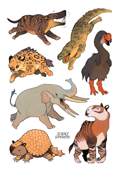 sticksandsharks: little cenozoic guys (hyaenodon, langstonia, smilodon, dromornithidae,  stegotetrabelodon, glyptodon, moropus)  