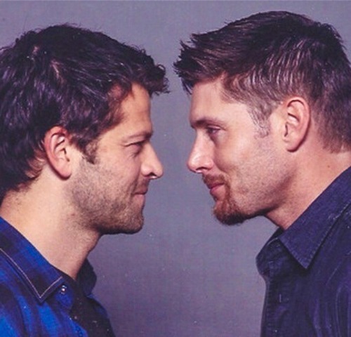 sammybitchfacewinchester:  So my friend thinks Jensen and Misha are a gay couple