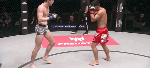 THE FIGHT LIFE