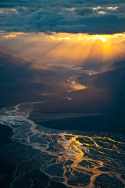 pleoros:  Kluane National Park