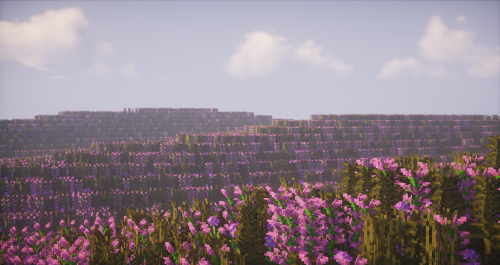 Lilac fields~Just decided to make something simple but colorful.