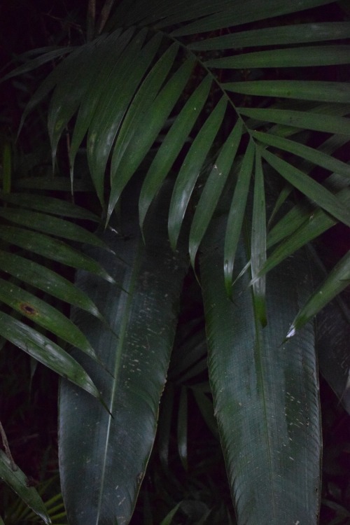 isla-bohemia: Nature | Photography | Travel