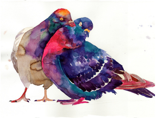 bestof-society6:    ART PRINTS BY TAKMAJ  Allium 2 Woods Pigeons   Also available