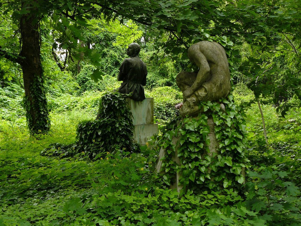 24pills:  “A huge part of the cemetery turned completely into jungle, in which