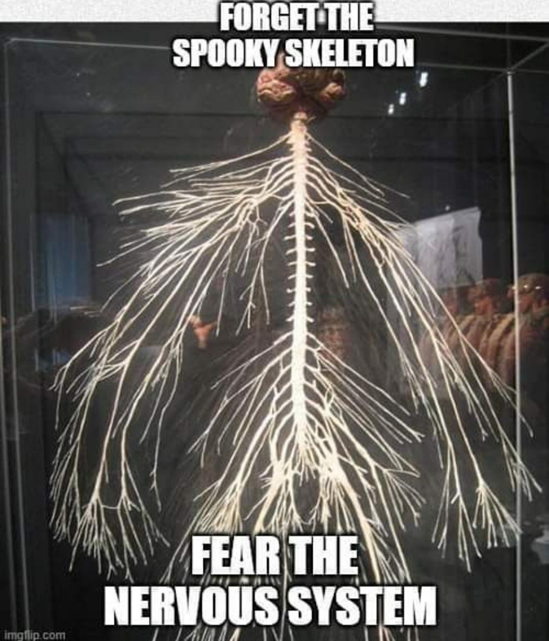 Nervous Meme nervous-meme