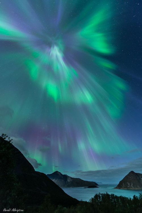 Auroral Corona over Norway : Higher than the highest mountain lies the realm of the aurora. Auroras 