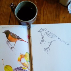 Copying a bird design freehand no pencil.