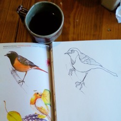 Copying A Bird Design Freehand No Pencil. #Birds