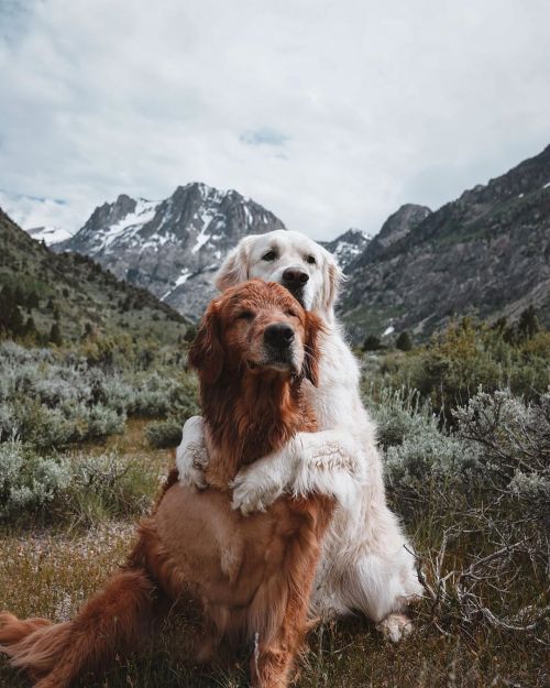 delta-breezes:Watson & Kiko | @wat.kiwhat if ..what if we hugged in a field at the foot of a mou