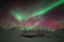 gravitationalbeauty:  just–space:  Aurora Borealis over Tromvik, Norway - photo by John A. Hemmingsen 