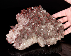 mineralists:  Large plate of gemmy Quartz crystals with beautiful inclusions of Hematite.Hunan Province, China 