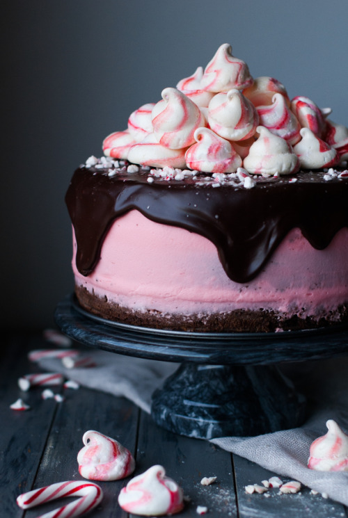 confectionerybliss:  Chocolate Peppermint Holiday Cake | The Kitchen McCabe