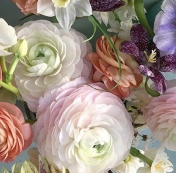 Fleur .