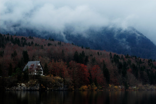 this is my photo, taken at lake Bohinj 