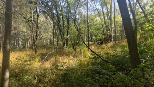 Some Photos Of My Nearby Park, On A Nice October Day.