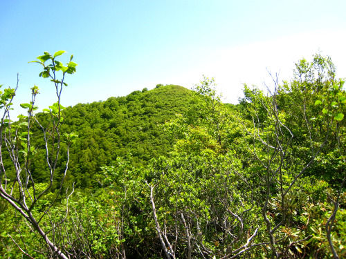 富士写ヶ岳（ふじしゃがたけ、Mt.Fujishagatake、標高941m）20140524富士写ヶ岳、大内登山口、登山道、登山道からの山々と坂井平野の眺望