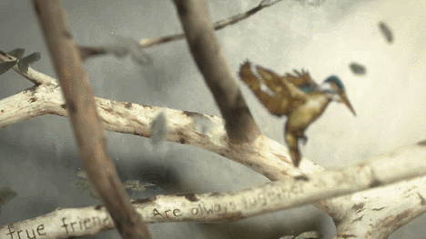 exploring-anne:The gorgeous opening credits of ‘Anne the Series’.  The new Netflix and CBC adaptatio